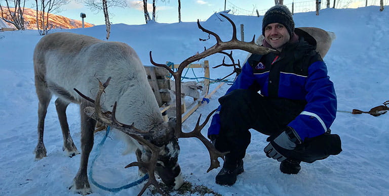 Reindeer in Alta, Norway
